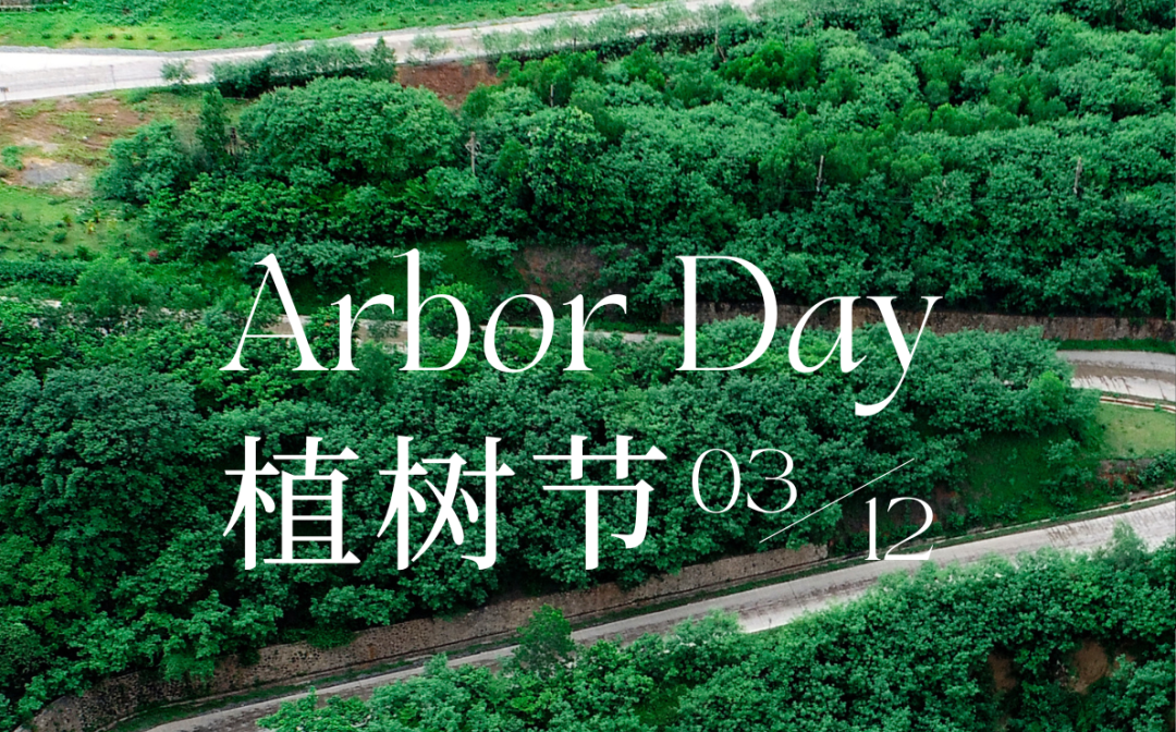 植树节 | leyu.乐鱼(集团)数码股份有限公司官网
的绿色画卷